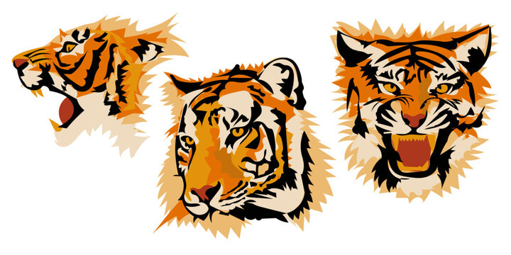 Set in different angles of the tiger's head, vector image isolated on a white background. Abstract illustration, simplified spots in layers. Suitable for printing on banner and flyer
