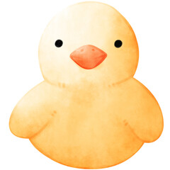 duck isolated on white, watercolor duck, duck illustration