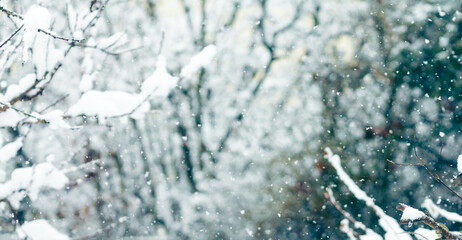 Winter Hintergrund Natur Schneefall Ast Freiraum