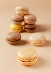 Pastel shades french macarons or macaroons (almond cookies) on the  background