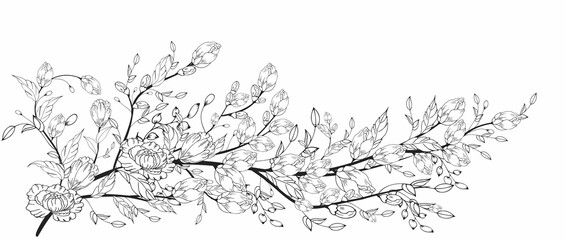 Fototapeta premium A beautiful blooming branch, richly decorated with flowers, buds, and leaves. Hand drawing.