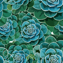 Succulents seamless pattern