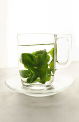 Tea with fresh mint leaves. Mint infusion helps with digestive problems