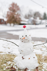 snowman with carrot nose in the snow