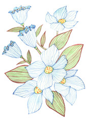 Decorative flowers. Color watercolor illustration. Hand drawing.