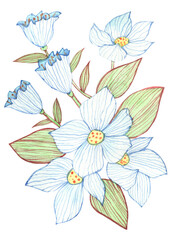 Decorative flowers. Color watercolor illustration. Hand drawing.