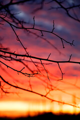 Gloomy dramatic clouds at sunset. Beautiful ultramarine clouds at sunset in the park. The concept of nature, storm, disaster.