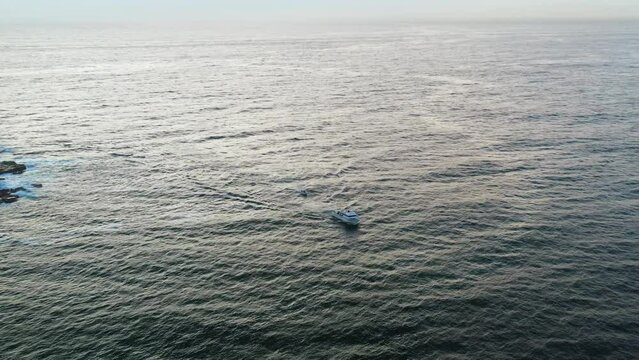 A New South Wales fisheries boat sails into Bondi to check the shark nets and deploy shark drum lines in the early morning. Bondi, Sydney Australia