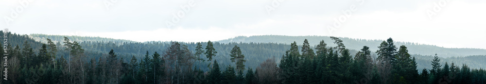 Wall mural Amazing mystical rising fog forest trees woods landscape view in black forest blackforest ( Schwarzwald ) Germany wide long panoramic panorama banner