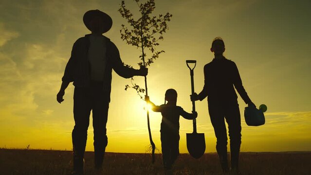 concept mother child go plant tree ground. happy family life concept. dig earth with catch. water plants. child kid with parents go plant seedling ground. plant roots tree ground. family sunset field.