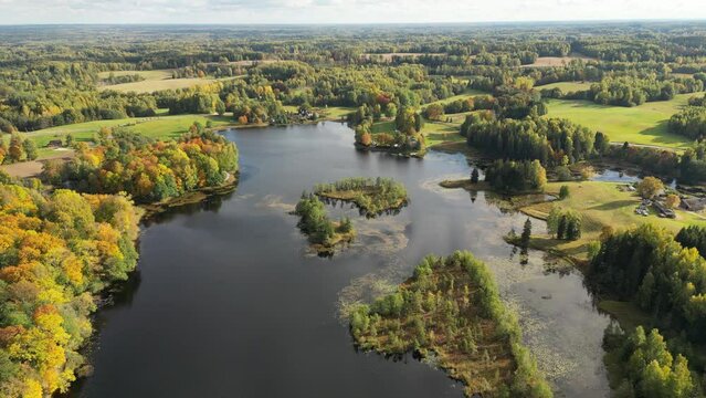 Many small islands aerial drone view. Summer vacation place. Autumnal view. Flat landscape. Small green islands with forest inside the lake. Green summer landscape. Autumnal view.
