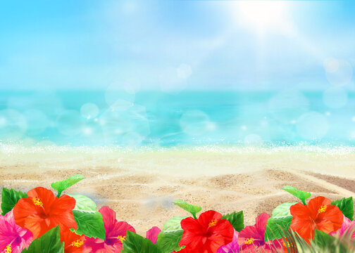 Stylish summer frame background and hibiscus blooming by the sea under sunny blue sky.