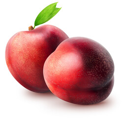 Isolated nectarines. Two whole nectarine fruits with leaves isolated on white background