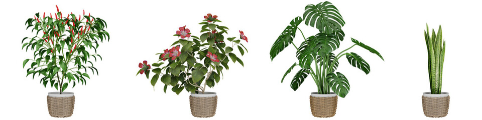 plant in pot, isolated on white, photoreal 3d render