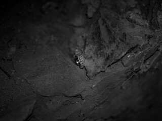 Joyería Anillo Fotos Hombre Mujer Unisex Alta Definición Naturales Metal Oro Plata 