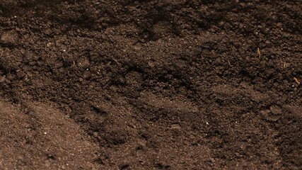 Black land for plant background. Top view.