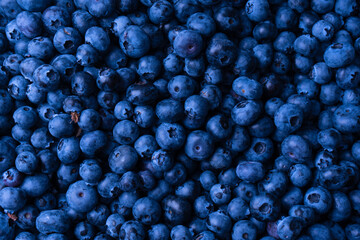 Fresh blueberry background. Texture blueberry berries close up.