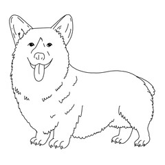 Corgi dog, vector cartoon cute outline illustration isolated on white background