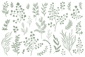 Plants leave vector collection. Set of silhouettes of many plants, hand draw vector. Decorative set.	