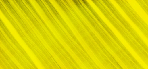 Green yellow line pattern background 