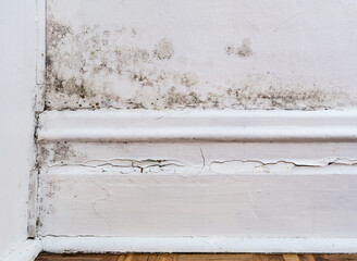 Moisissure et gouttelette sur un mur