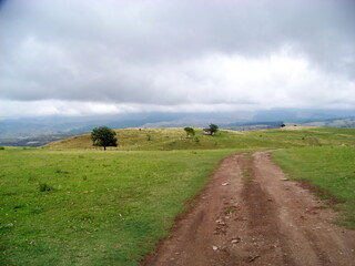 paisaje, pradera
