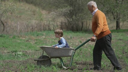 Little kid enjoy the ride in wheelbarrow driven by grandfather, happy countryside summer vacation