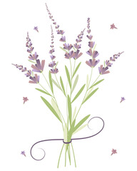 Bouquet of Lavender, Vector, Isolated, Foliage, Romantic, Flower, Women's Day, Blossom, Summer