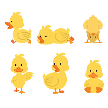 Cute yellow ducks collcetion set