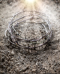 Thorn wreath with crown shadow