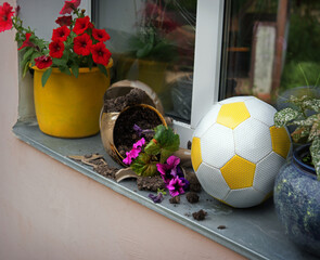 The ball crushed the flowers in flowerpot