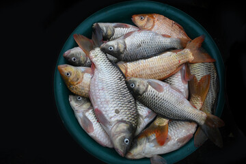 Fresh fish for sale in the market on black background