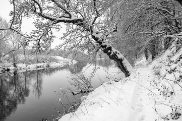 Snow covered footpath alongside the Teviot River in the Scottish Borders