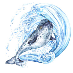 Composition of arctic narwhal blue on the background of a blue wave with splashes. Watercolor illustration with pronounced texture isolated on a transparent background © Marina