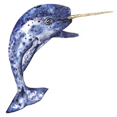  Arctic narwhal blue color, watercolor illustration with pronounced texture isolated on transparent background - obrazy, fototapety, plakaty