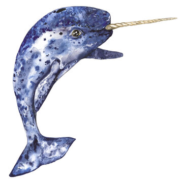 recommend clip art:  Arctic narwhal blue color, watercolor illustration with pronounced texture isolated on transparent background