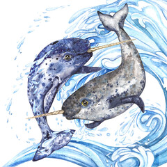Composition of blue arctic narwhals on the background of a blue wave with splashes. Watercolor illustration with expressed texture isolated on transparent background