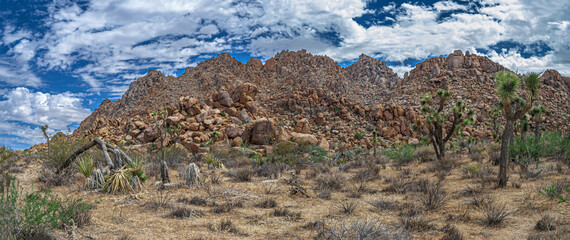 Stone Desert Mountains