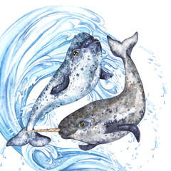 Composition of arctic narwhals in blue gray on the background of a blue wave with splashes. Watercolor illustration with expressed texture isolated on transparent background © Marina