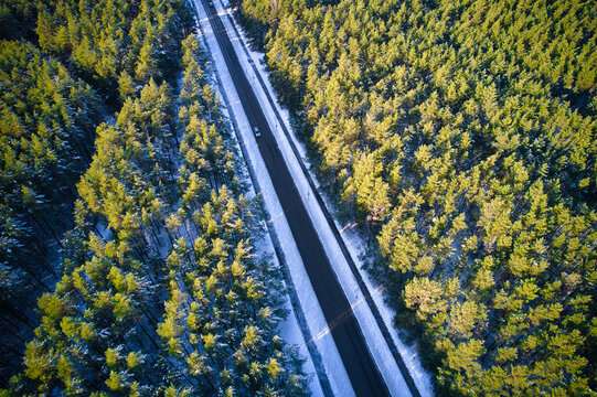 Aerial view from drone of concrete road leading through spring dense forests and groves in green colors. Trees in golden time and empty highway in springtime. Roadway among colorful treetops © Defree