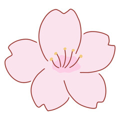 Sakura Cherry Blossom hand drawn