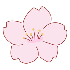 Sakura Cherry Blossom hand drawn