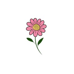 pink flower isolated on white background