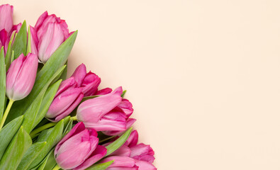 Obraz premium Pink tulip flowers