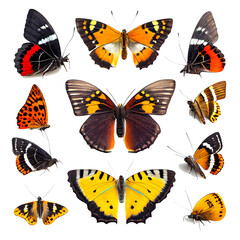 Fototapeta na wymiar set of butterflies on a white background. generative AI
