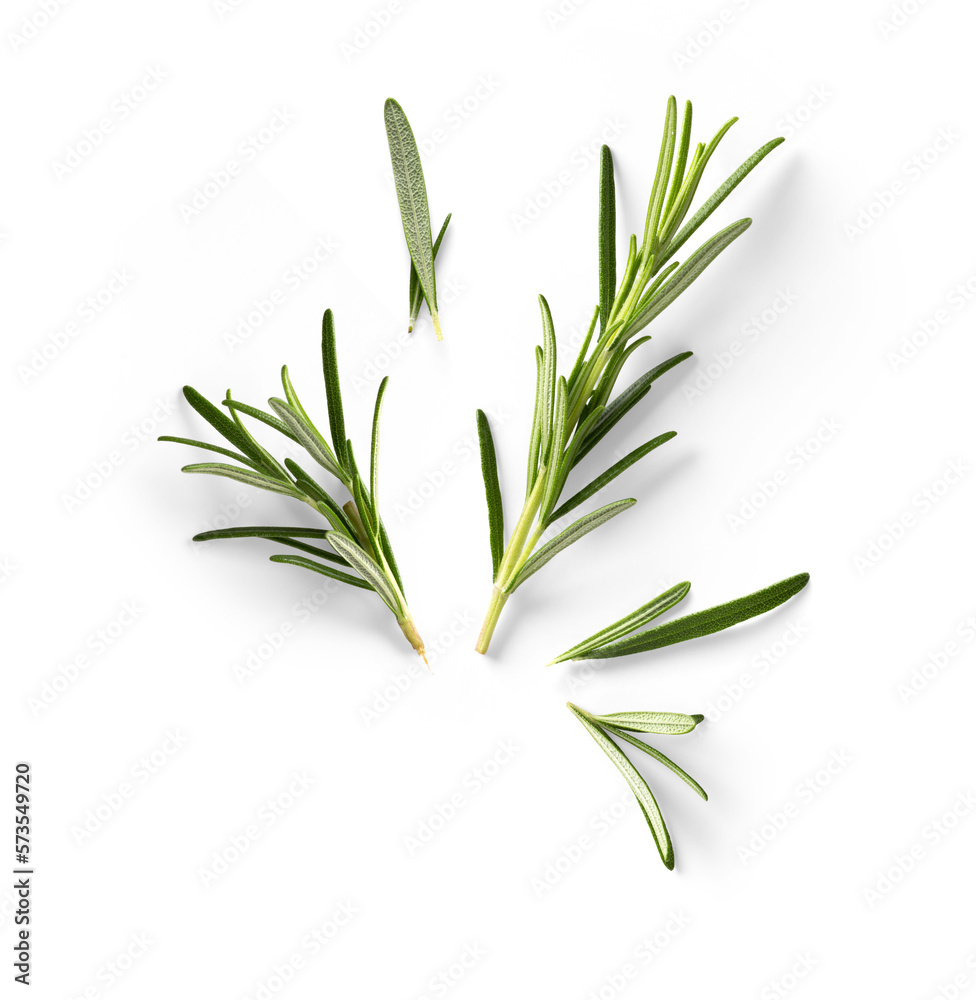 Wall mural Fresh green organic rosemary leaves isolated on white background. With clipping path. Transparent background and natural transparent shadow; Ingredient, spice for cooking. Rosemary herb collection - Wall murals