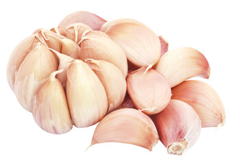 Fresh garlic