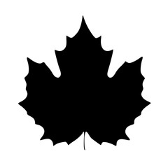black and white of leaf plant icon