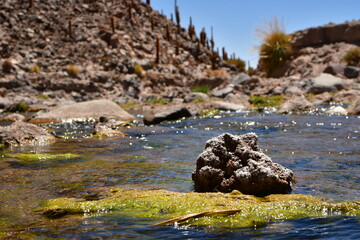  Guatin Canyon Altiplano San Pedro de Atacama Chile