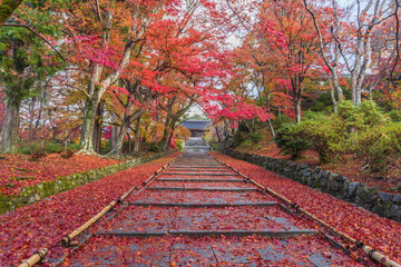 Fototapeta na wymiar 京都　毘沙門堂の紅葉 